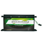 Electric Rikshaw Battery 2