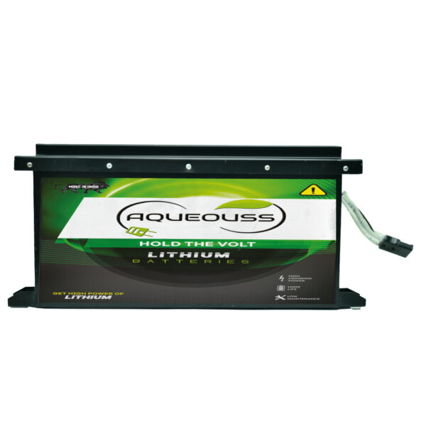 Electric Rikshaw Battery 2